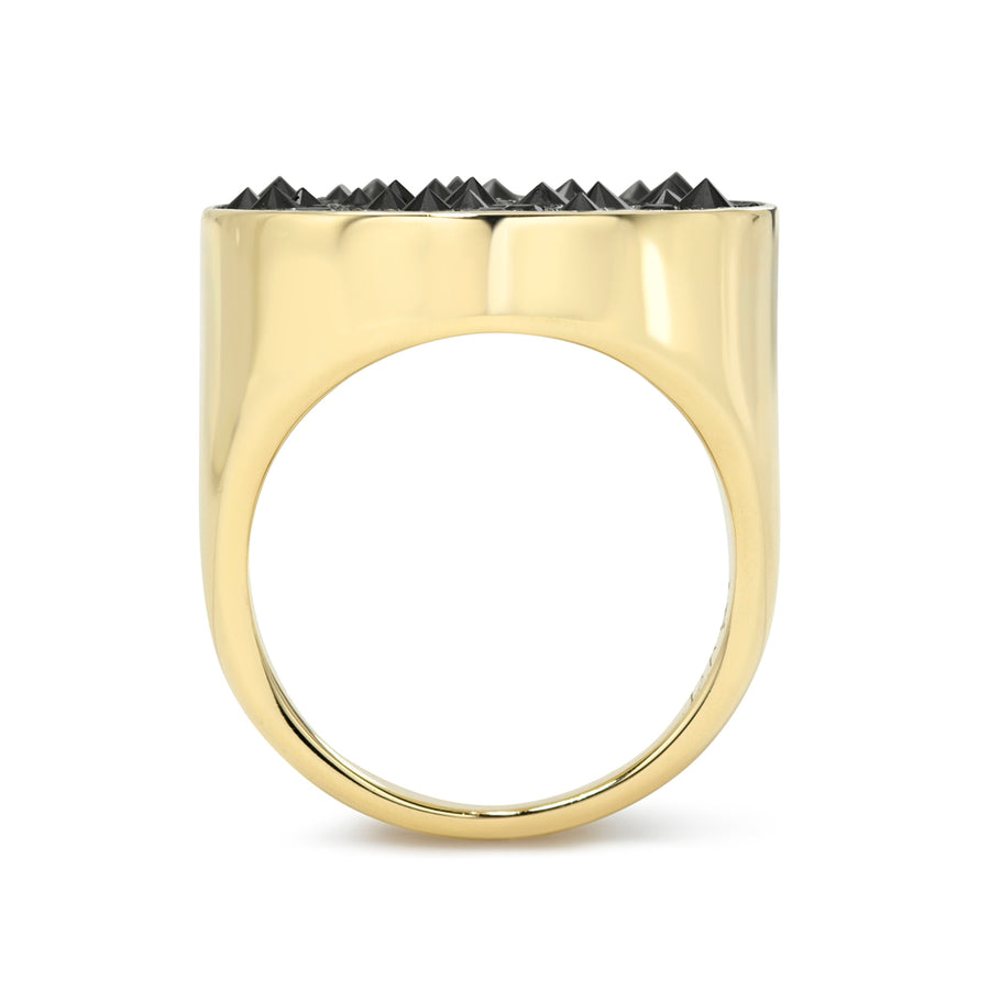 Black Diamond Quake Signet